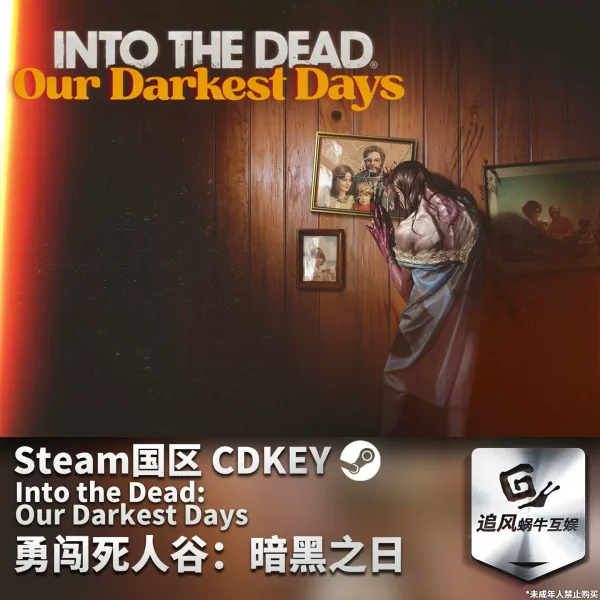 勇闯死人谷:暗黑之日