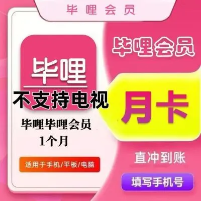 哔哩哔哩大会员