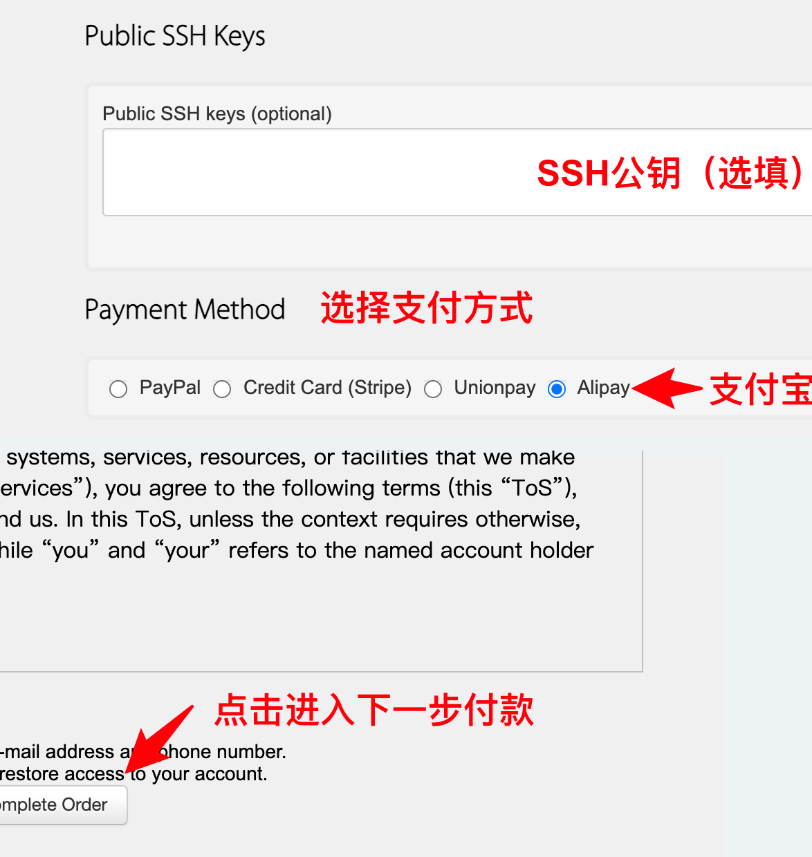 结账页面的 SSH 公钥和付款方式选项